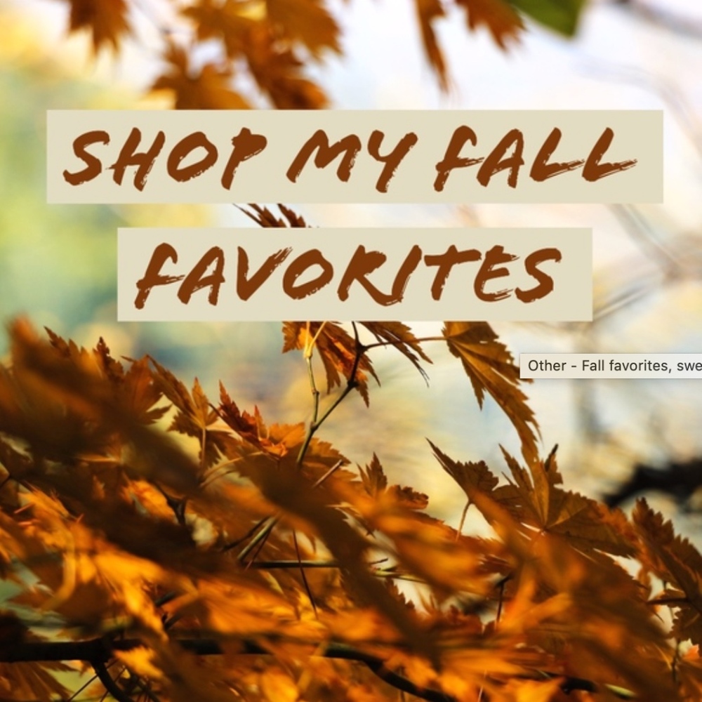 SHOP ALL OF MY FALL FAVORITES. POPULAR ON INSTA!